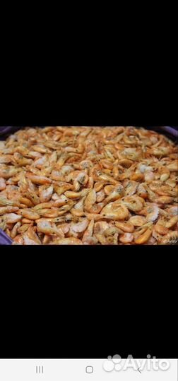 Креветки Азовские сухой заморозки,мелкие 3см