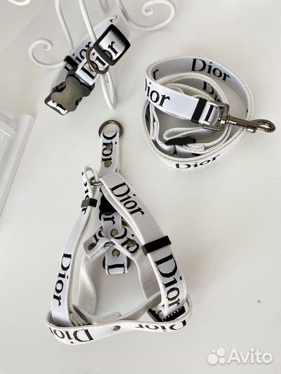 Шлейка и поводок Gucci