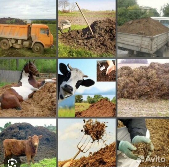 Навоз перегной в мешках