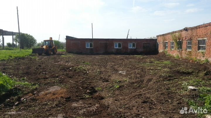 Ферма. Коровник, свинарник, крольчатник