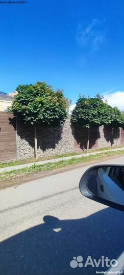 Забор из габионов цоколь 50*50мм производство