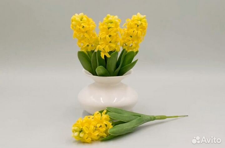 12 гиацинтов для Марины