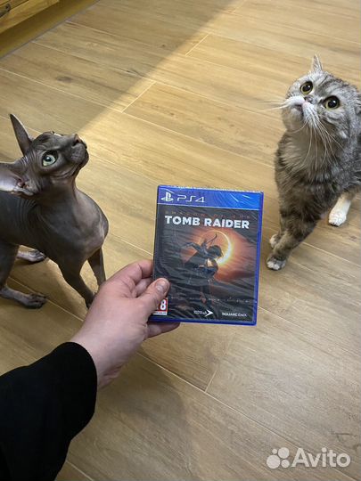 Shadow of the Tomb Rider