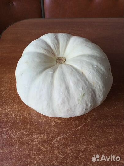 Семена вкусной тыквы Крошка