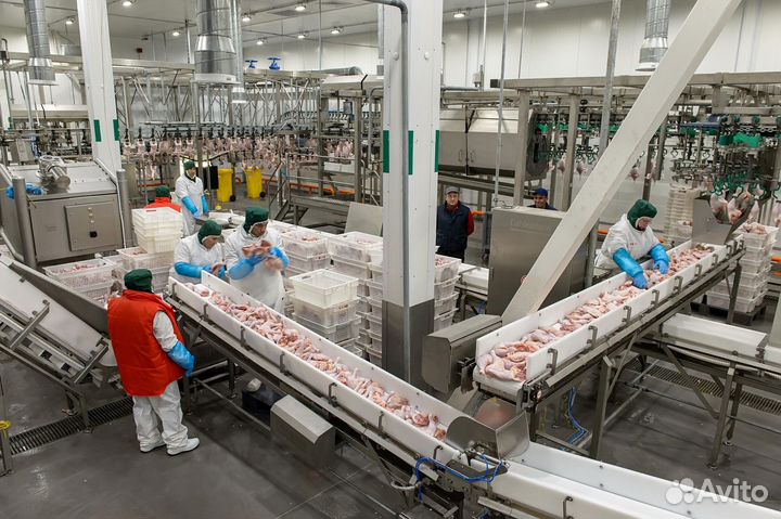 Упаковщик-фасовщик мяса птицы.Работа с проживанием