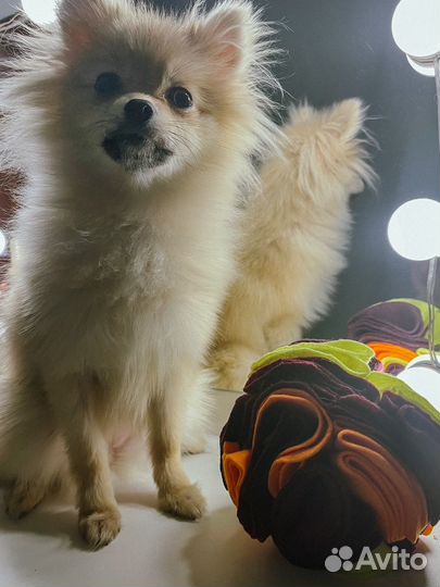 Игрушки для собак(нюхательный шар)