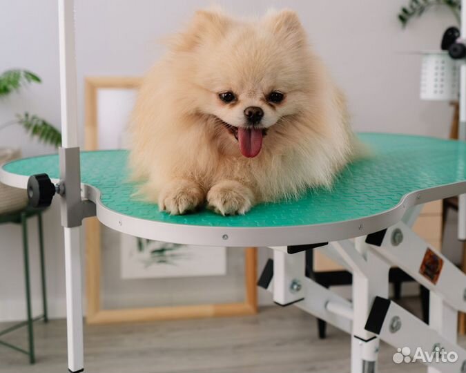 Гидравлический стол для груминга новый