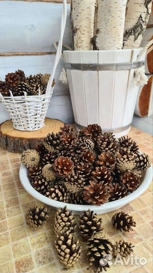 Сосновые шишки набр 10 штук