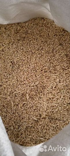 Пшеница, ячмень, овёс, фураж, отруби и др