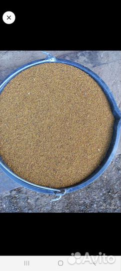 Люцерна.посевная(семена)