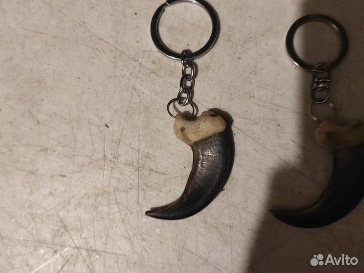 Сувенир коготь