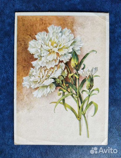 Почтовые конверты первого дня гашения. Открытки