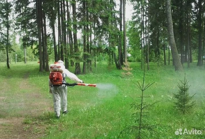 Уничтожение клопов тараканов клещей