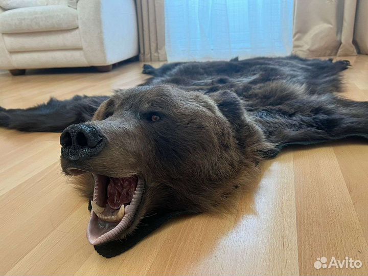 Шкура медведя имитация