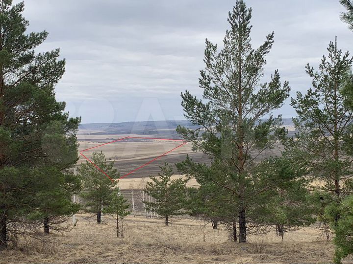 Участок 4 га (СНТ, ДНП)