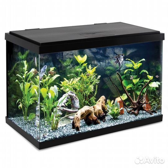 Аквариумы Jebo / Laguna / AA Aquarium