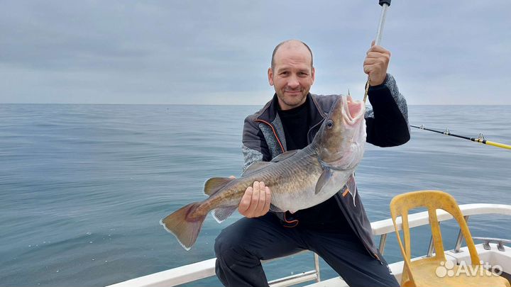 Морская рыбалка на камчатке