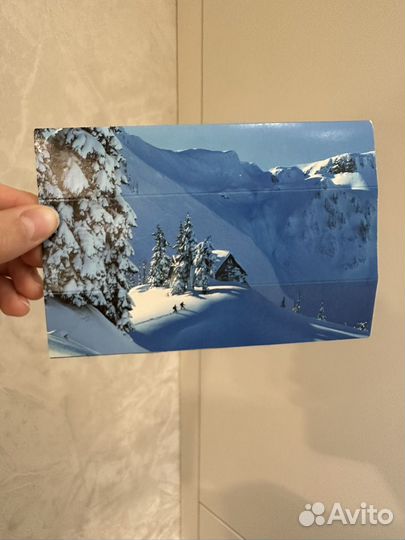 Открытка из Вены с очками