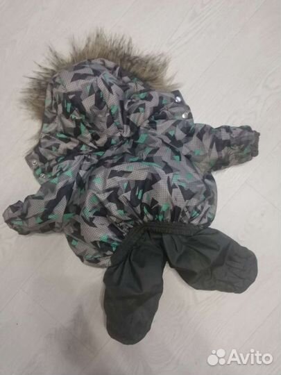 Одежда для собак