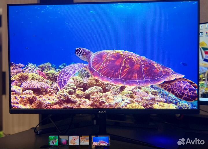 Монитор 144гц 165гц 200гц 27