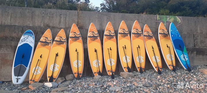 Сап на прокат, Sup сапборд