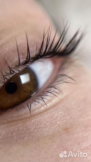 Ламинирование ресниц и бровей