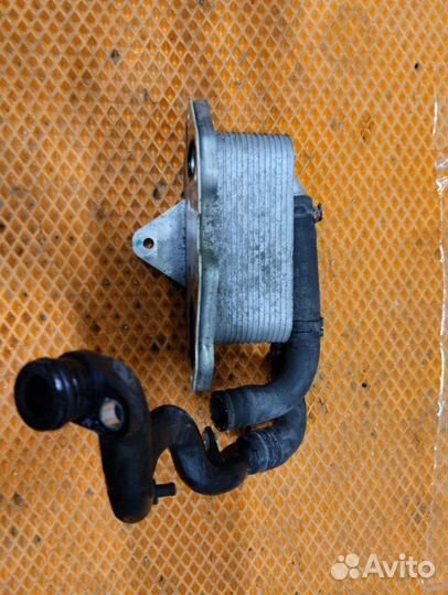 Радиатор масляный Audi A6 C6 4F AUK 2007