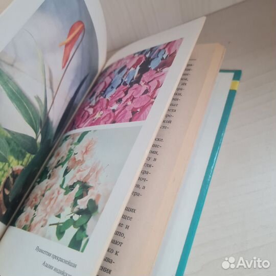 Комнатное цветоводство