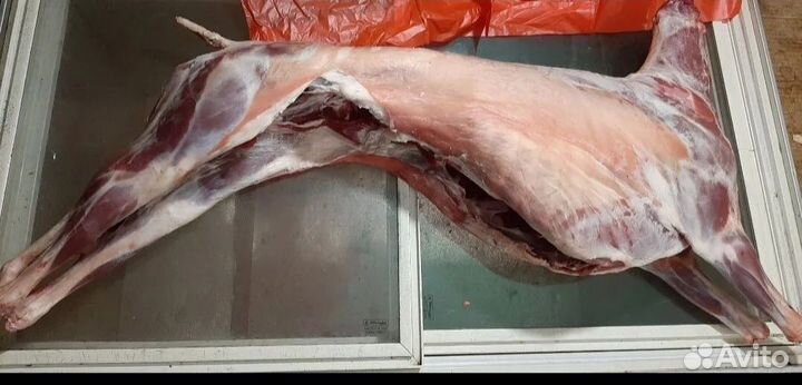 Парное мясо (телятина,говядина, баранина)