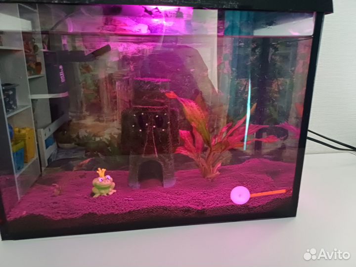 Аквариум 25 литров