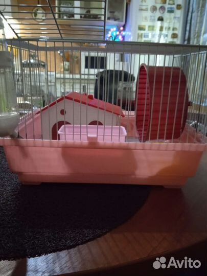 Продам жилье для хомяков)