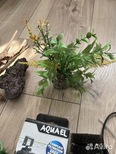 Аквариум с фильтрами