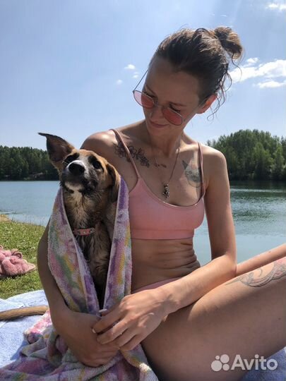 Догситтер, выгул собак, передержка