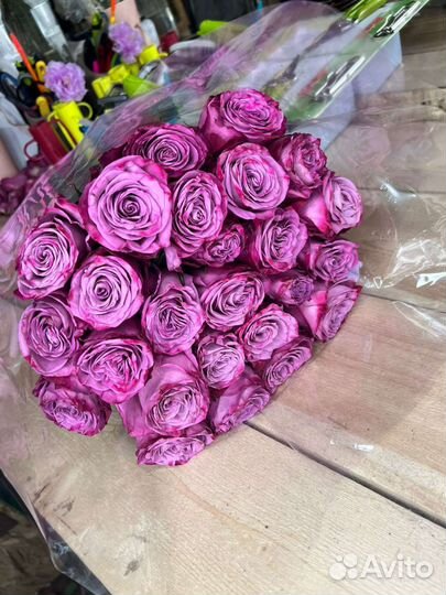 25 роз букет из роз Эквадор доставка