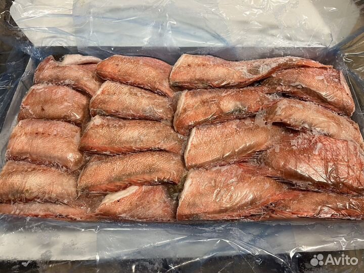 Окунь морской 7 кг