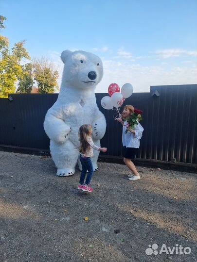 Белый мишка поздравление ростовой медведь аниматор