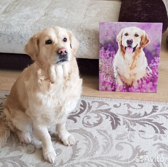 Алмазная мозаика на подрамнике 30*40 Сова