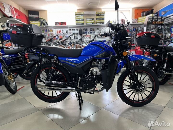 FX moto 50 (125) 2023