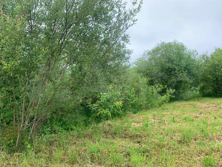 Участок 7 сот. (СНТ, ДНП)