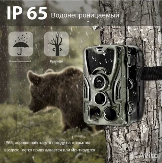 Охотничья камера слежения Фотоловушка Ночное вид