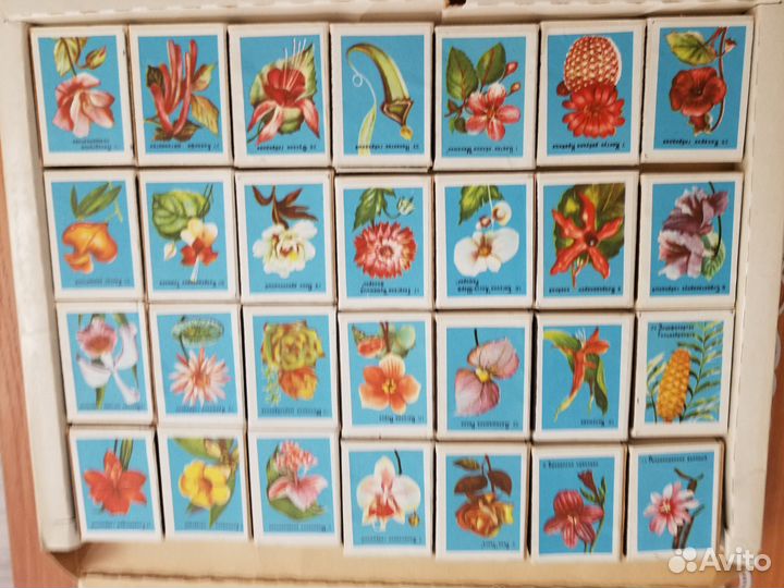 Этикетки спичечные коллекция цветов