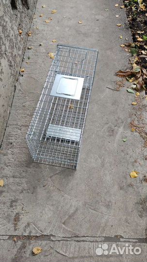 Кошкаловка аренда