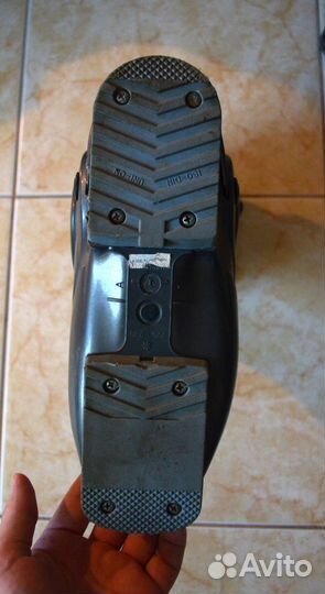 Ботинки для горных лыж Head