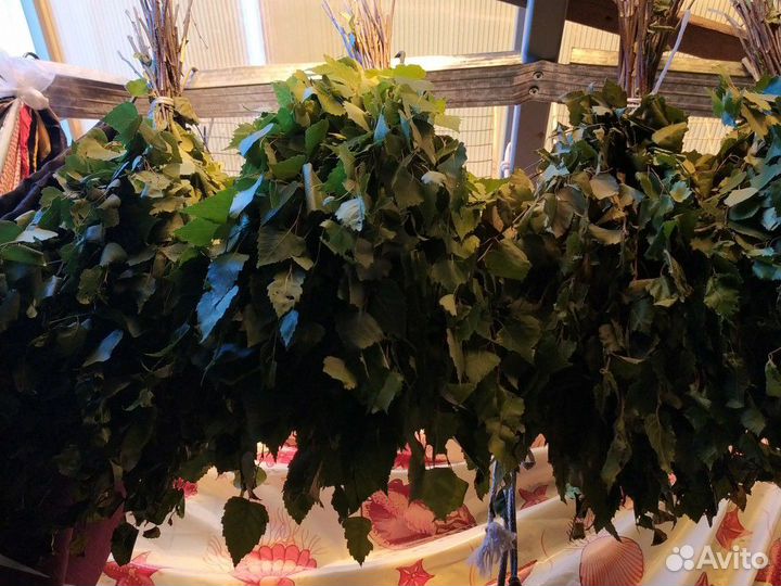 Веники березовые