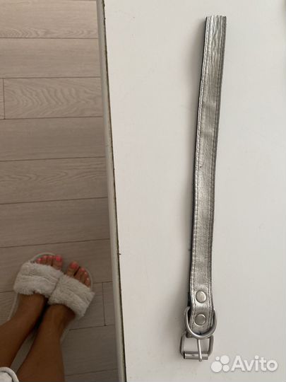 Корм про план диет для кошек поводок