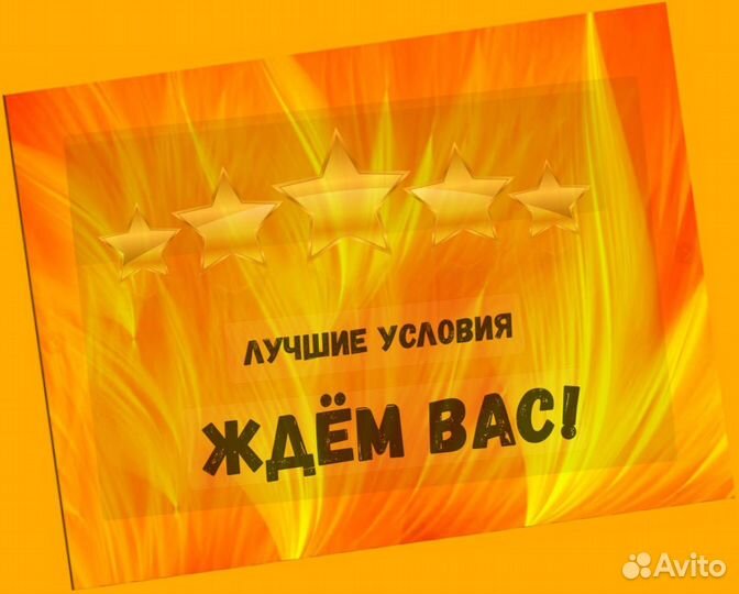 Наборщик заказов Без опыта Еженедельные выплаты