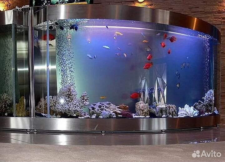 Чистка террариума аквариума/обслуживание/установка