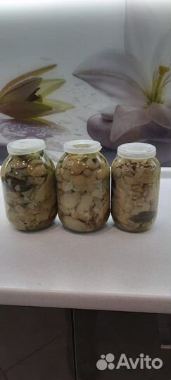Грибы маринованые