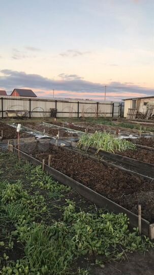 Дом 100 м² на участке 20 сот.