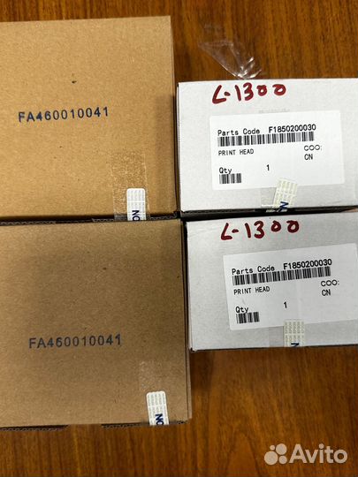 Печтающие головки Epson L1300 и M200